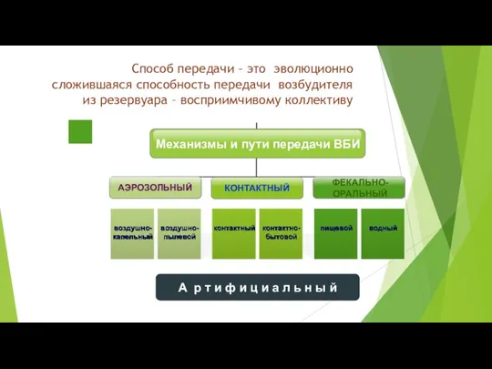 ФЕКАЛЬНО-ОРАЛЬНЫЙ АЭРОЗОЛЬНЫЙ воздушно-капельный воздушно-пылевой КОНТАКТНЫЙ контактный контактно-бытовой пищевой водный Механизмы и пути