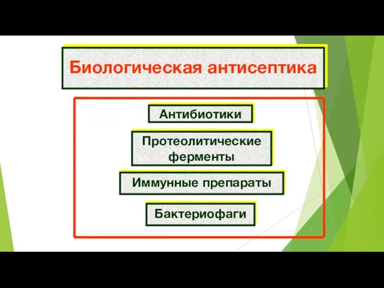 Биологическая антисептика Антибиотики Протеолитические ферменты Иммунные препараты Бактериофаги