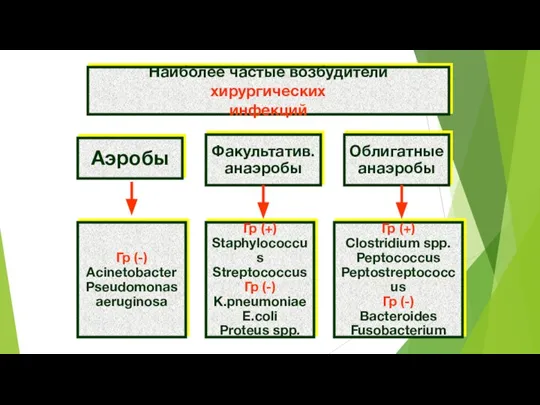 Наиболее частые возбудители хирургических инфекций Аэробы Факультатив. анаэробы Облигатные анаэробы Гр (-)