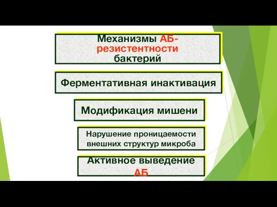 Механизмы АБ-резистентности бактерий Ферментативная инактивация Модификация мишени Нарушение проницаемости внешних структур микроба Активное выведение АБ