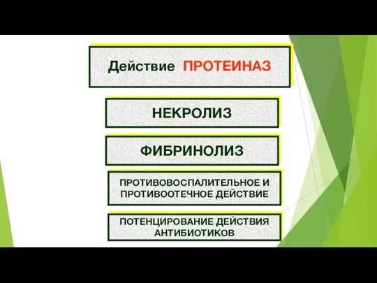 Действие ПРОТЕИНАЗ НЕКРОЛИЗ ФИБРИНОЛИЗ ПРОТИВОВОСПАЛИТЕЛЬНОЕ И ПРОТИВООТЕЧНОЕ ДЕЙСТВИЕ ПОТЕНЦИРОВАНИЕ ДЕЙСТВИЯ АНТИБИОТИКОВ