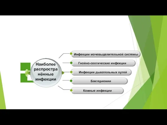 Инфекции мочевыделительной системы Гнойно-септические инфекции Инфекции дыхательных путей Бактериемии Кожные инфекции Наиболее распростра нённые инфекции