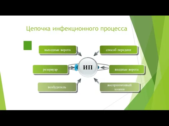 резервуар выходные ворота возбудитель входные ворота способ передачи восприимчивый хозяин Цепочка инфекционного процесса