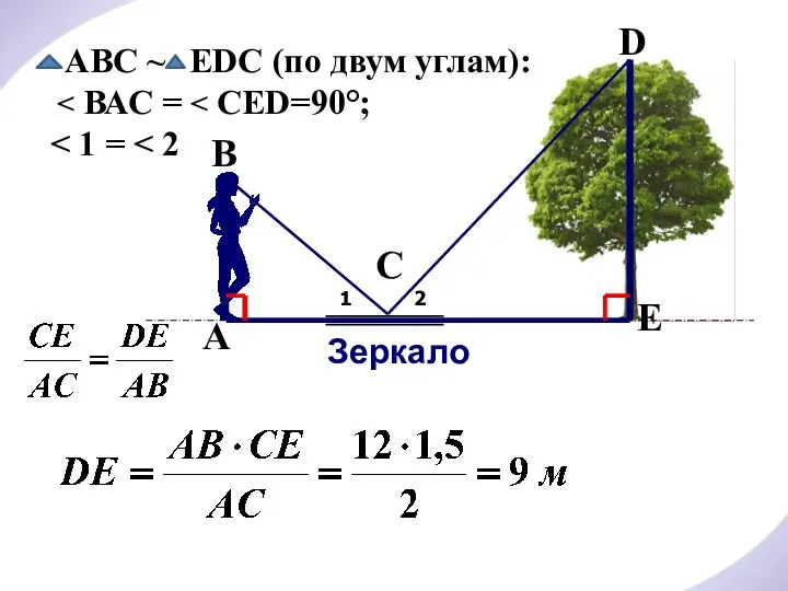 Зеркало D В А С 1 2 E АВС ~ ЕDС (по двум углам):