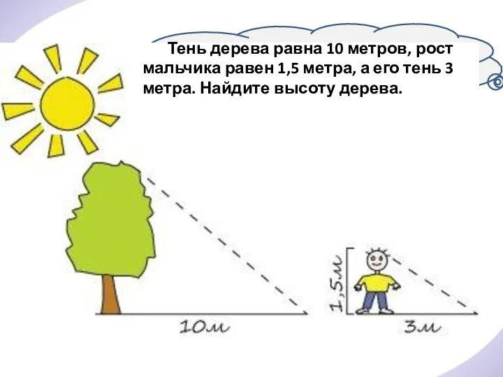 Тень дерева равна 10 метров, рост мальчика равен 1,5 метра, а его