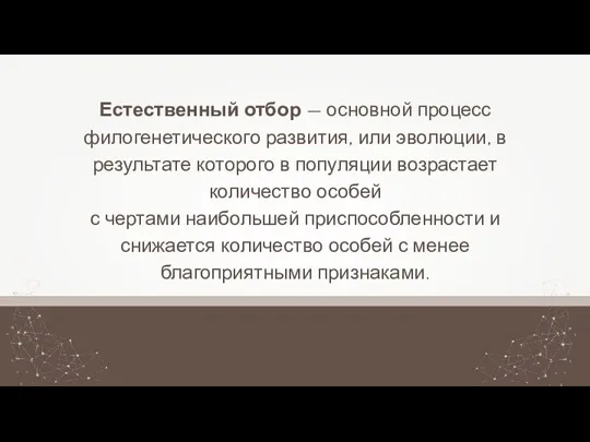 Естественный отбор — основной процесс филогенетического развития, или эволюции, в результате которого