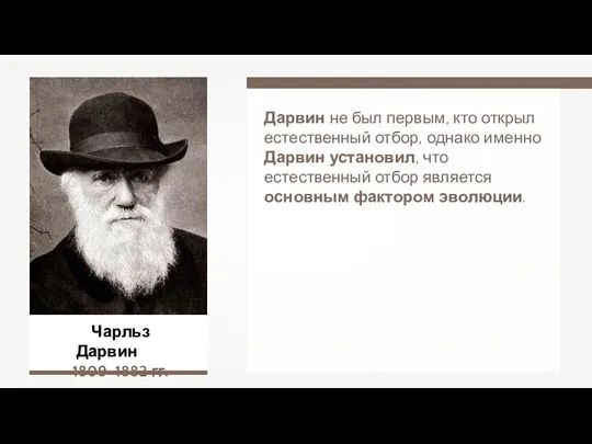 Чарльз Дарвин 1809–1882 гг. Дарвин не был первым, кто открыл естественный отбор,