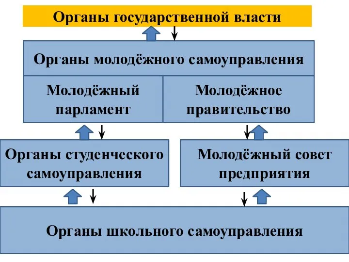 Органы школьного самоуправления Органы студенческого самоуправления Молодёжный совет предприятия Органы молодёжного самоуправления