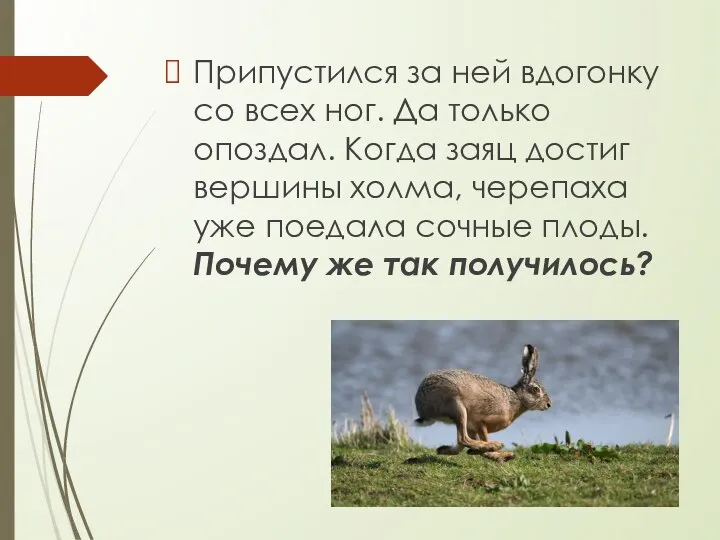 Припустился за ней вдогонку со всех ног. Да только опоздал. Когда заяц