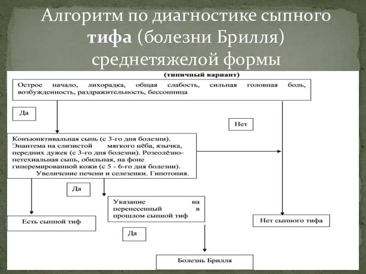 Алгоритм по диагностике сыпного тифа (болезни Брилля) среднетяжелой формы