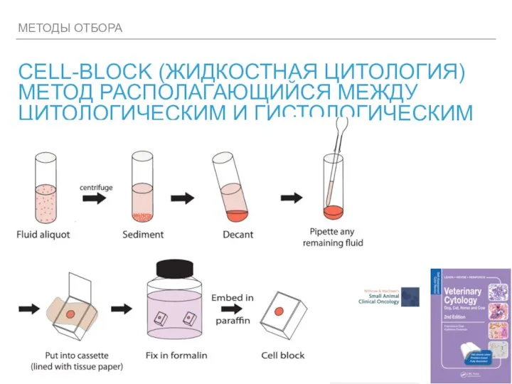 МЕТОДЫ ОТБОРА CELL-BLOCK (ЖИДКОСТНАЯ ЦИТОЛОГИЯ) МЕТОД РАСПОЛАГАЮЩИЙСЯ МЕЖДУ ЦИТОЛОГИЧЕСКИМ И ГИСТОЛОГИЧЕСКИМ ИССЛЕДОВАНИЯМИ