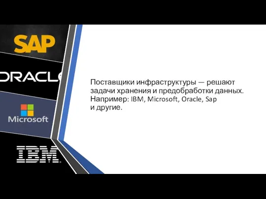 Поставщики инфраструктуры — решают задачи хранения и предобработки данных. Например: IBM, Microsoft, Oracle, Sap и другие.