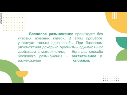 Бесполое размножение происходит без участия половых клеток. В этом процессе участвует только