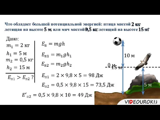 Что обладает большей потенциальной энергией: птица массой 2 кг, летящая на высоте