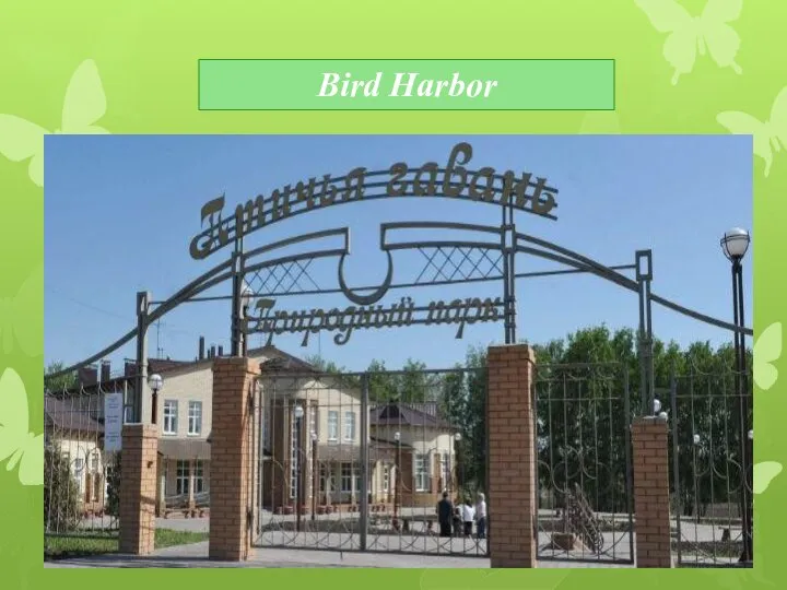 Bird Harbor