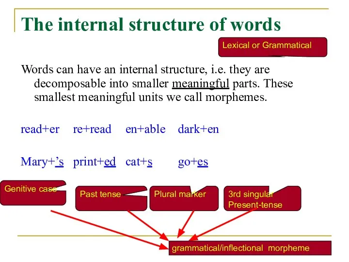 The internal structure of words Words can have an internal structure, i.e.