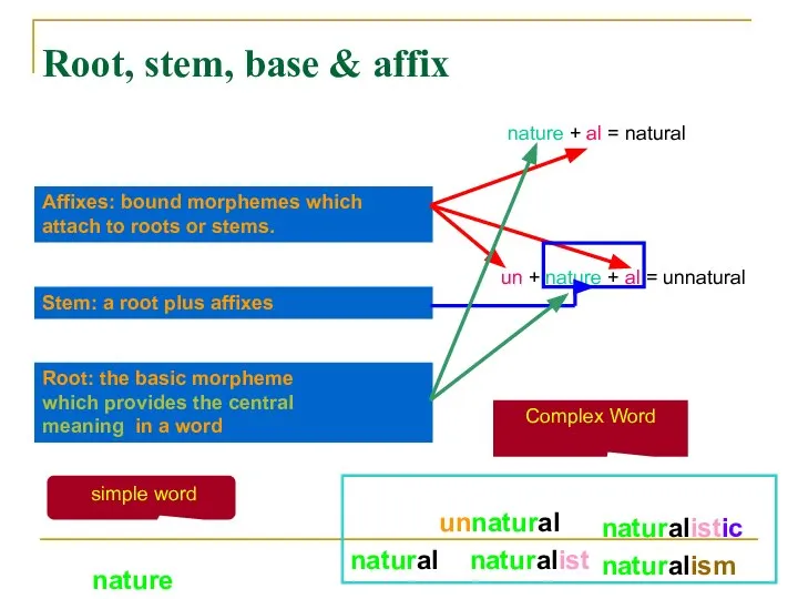Root, stem, base & affix nature natural naturalist naturalistic naturalism unnatural Stem: