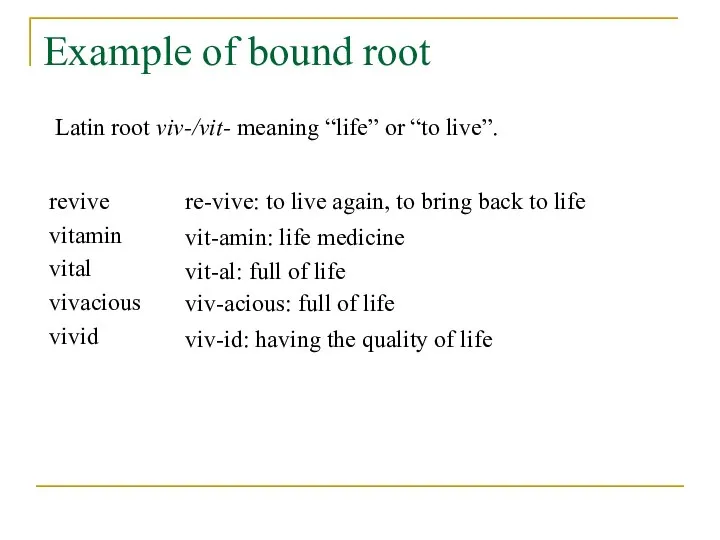 Example of bound root revive vitamin vital vivacious vivid viv-id: having the