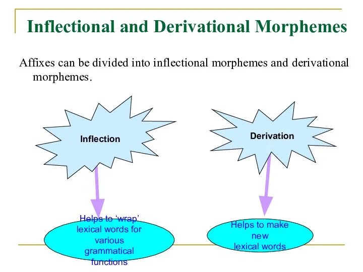 Inflectional and Derivational Morphemes Affixes can be divided into inflectional morphemes and