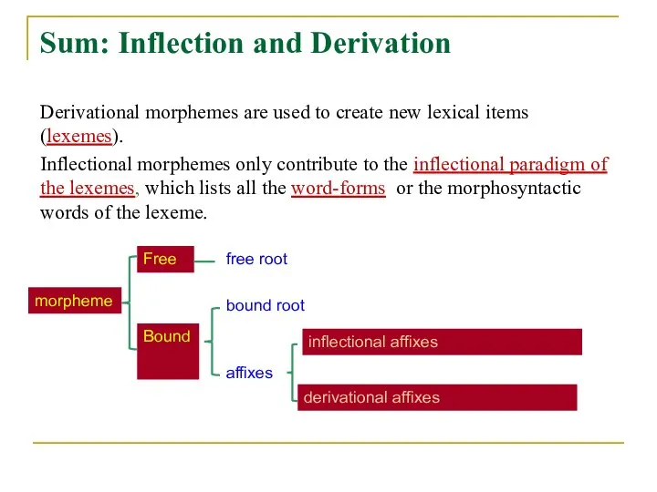 Sum: Inflection and Derivation Derivational morphemes are used to create new lexical
