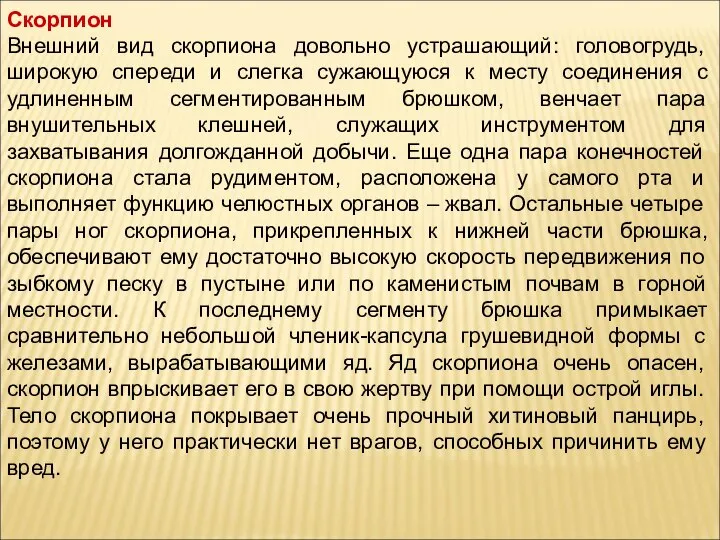 Скорпион Внешний вид скорпиона довольно устрашающий: головогрудь, широкую спереди и слегка сужающуюся