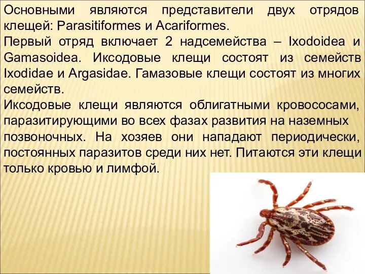 Основными являются представители двух отрядов клещей: Parasitiformes и Acariformes. Первый отряд включает