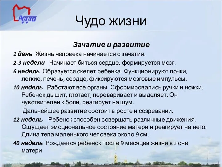 Чудо жизни Зачатие и развитие 1 день Жизнь человека начинается с зачатия.