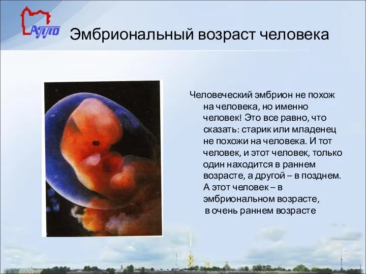 Эмбриональный возраст человека Человеческий эмбрион не похож на человека, но именно человек!