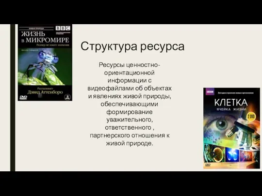 Структура ресурса Ресурсы ценностно-ориентационной информации с видеофайлами об объектах и явлениях живой