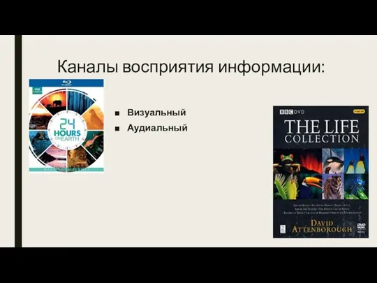 Каналы восприятия информации: Визуальный Аудиальный