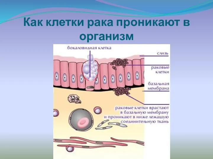 Как клетки рака проникают в организм