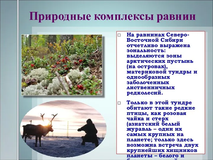 Природные комплексы равнин На равнинах Северо-Восточной Сибири отчетливо выражена зональность: выделяются зоны