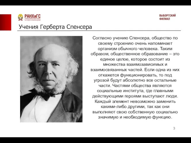 Учения Герберта Спенсера Согласно учению Спенсера, общество по своему строению очень напоминает