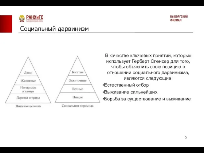 Социальный дарвинизм В качестве ключевых понятий, которые использует Герберт Спенсер для того,