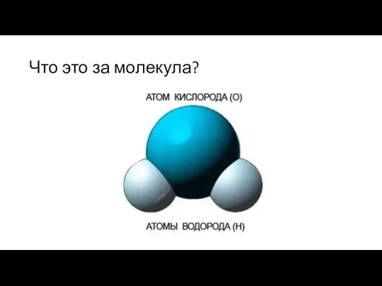 Что это за молекула?