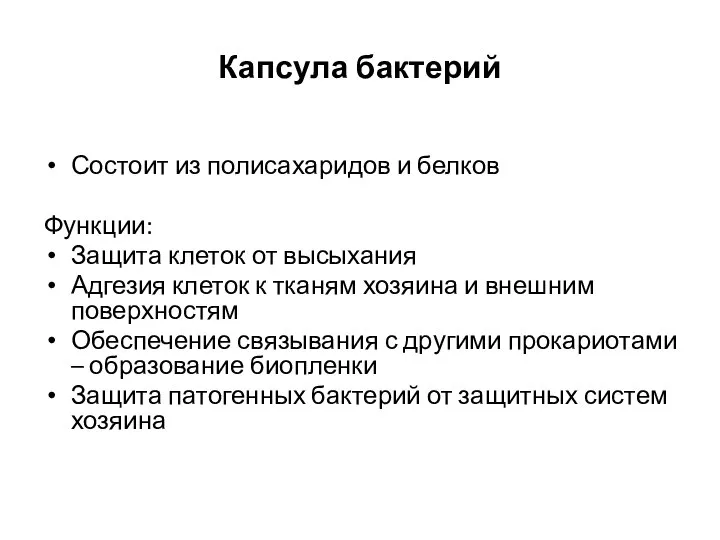 Капсула бактерий Состоит из полисахаридов и белков Функции: Защита клеток от высыхания