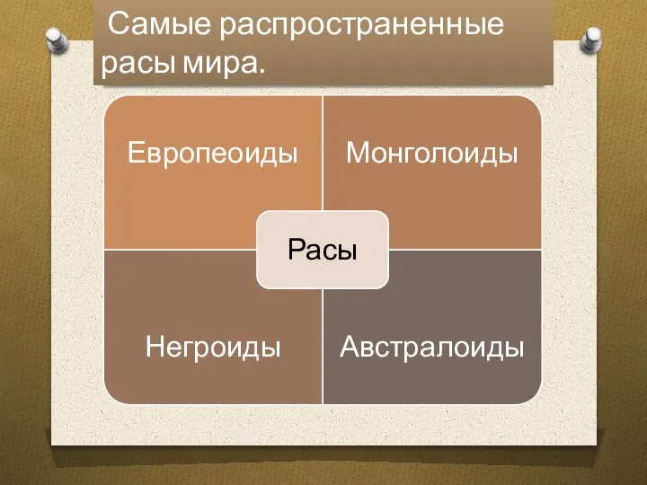 Самые распространенные расы мира.