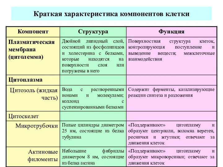 Краткая характеристика компонентов клетки