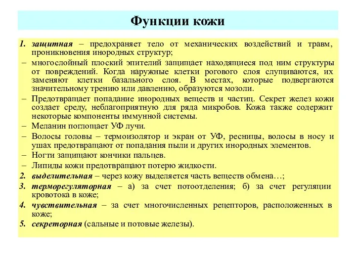 Функции кожи защитная – предохраняет тело от механических воздействий и травм, проникновения