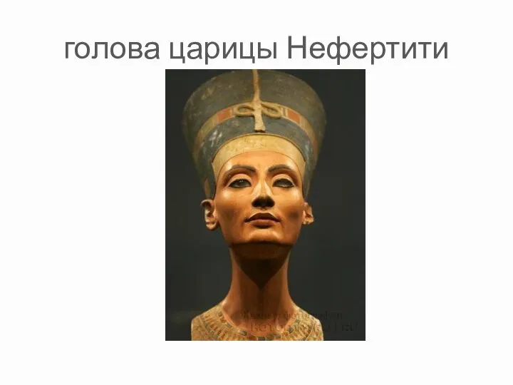 голова царицы Нефертити