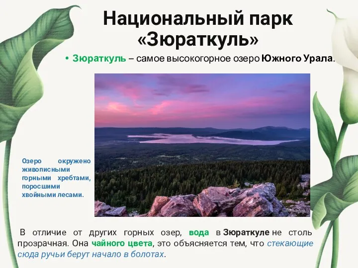Национальный парк «Зюраткуль» Зюраткуль – самое высокогорное озеро Южного Урала. В отличие