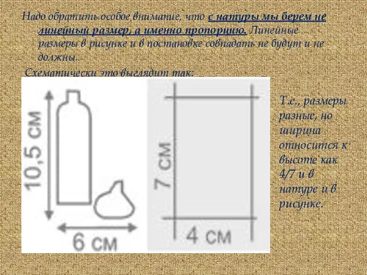 Надо обратить особое внимание, что с натуры мы берем не линейный размер,