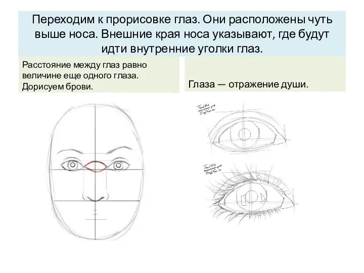 Переходим к прорисовке глаз. Они расположены чуть выше носа. Внешние края носа