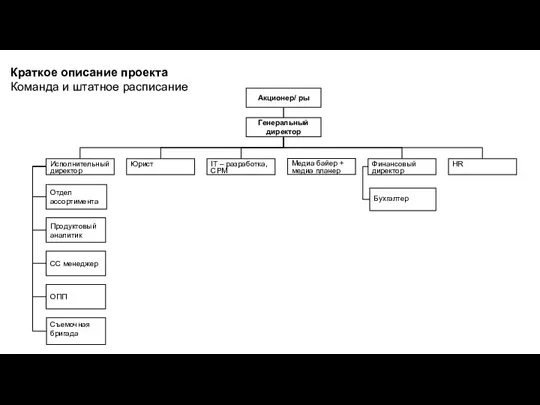 Краткое описание проекта Команда и штатное расписание IT – разработка, СРМ Генеральный