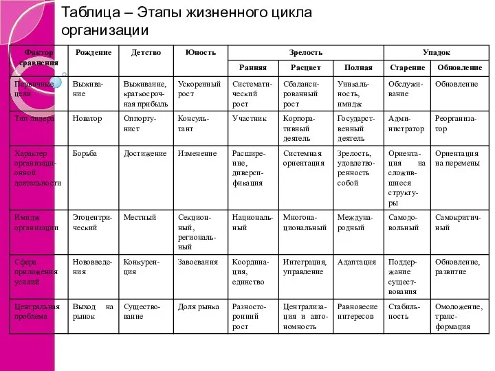 Таблица – Этапы жизненного цикла организации