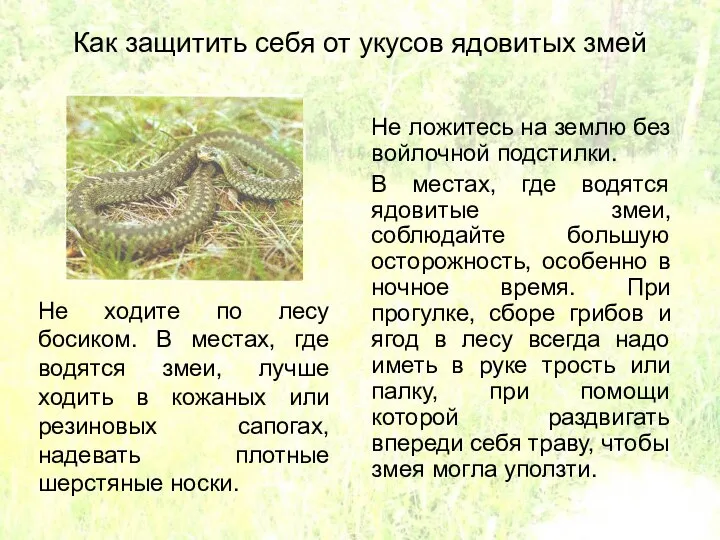 Как защитить себя от укусов ядовитых змей Не ложитесь на землю без