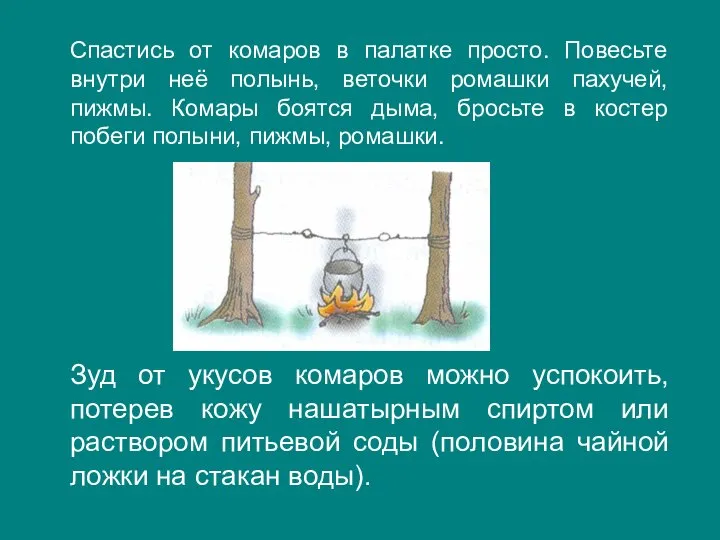 Спастись от комаров в палатке просто. Повесьте внутри неё полынь, веточки ромашки