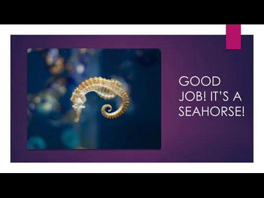 GOOD JOB! IT’S A SEAHORSE!