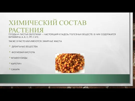 ХИМИЧЕСКИЙ СОСТАВ РАСТЕНИЯ ПЛОДЫ И ЛИСТЬЯ ОБЛЕПИХИ — НАСТОЯЩИЙ КЛАДЕЗЬ ПОЛЕЗНЫХ ВЕЩЕСТВ.