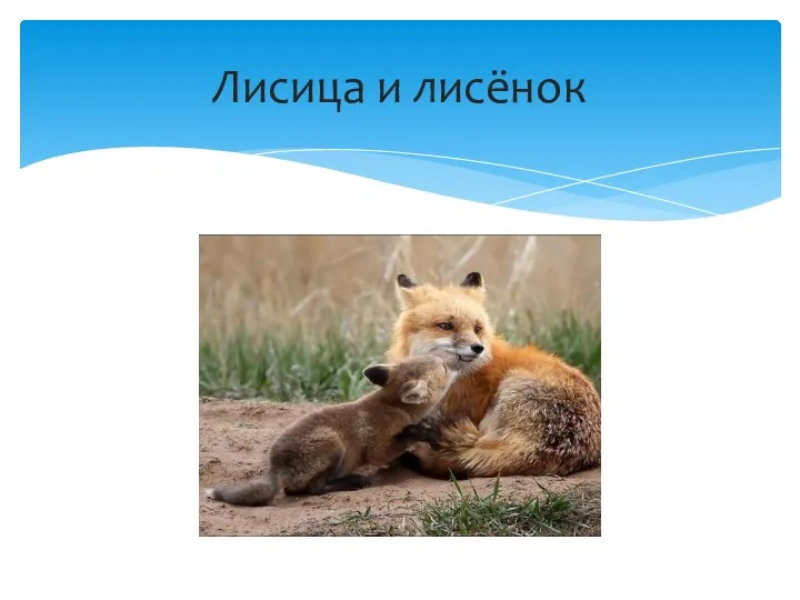 Лисица и лисёнок